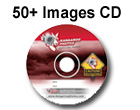 Ordering 50+ Images on CD